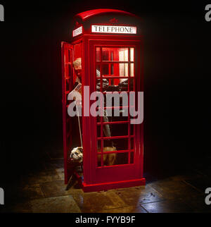 Bulldog Anglais et vieil homme dans une boîte de téléphone rouge, à l'extérieur. Banque D'Images