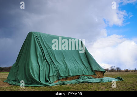 Couverts botte de paille sur un pré, Allemagne Banque D'Images