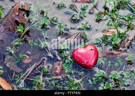 Coeur rouge dans l'eau flaque d'herbes marécageuses sur Banque D'Images