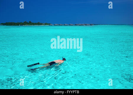 Jeune homme snorkling en lagune tropicale avec des bungalows sur pilotis Banque D'Images