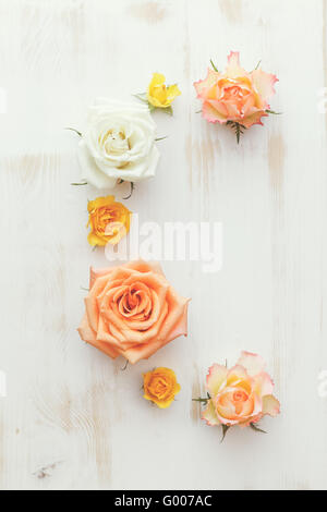 Vintage floral background. Abstract floral background avec différents roses doux et naturels. Vue d'en haut, l'image aux couleurs vintage Banque D'Images
