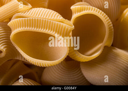 Lumaconi (gros bouchons) les pâtes de tradition du sud de l'Italie - macro détail Banque D'Images