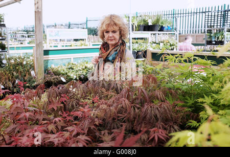 Femme à la recherche autour d'un jardin de Wyevale Centre Plantes et arbres d'acheter Banque D'Images