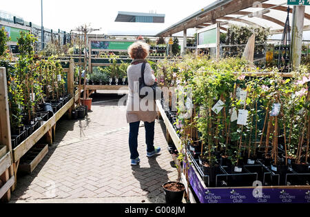 Femme à la recherche autour d'un jardin de Wyevale Centre Plantes et arbres d'acheter Banque D'Images