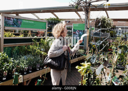 Femme à la recherche autour d'un jardin de Wyevale Centre Plantes et arbres d'acheter Banque D'Images