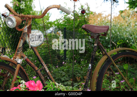 Vieux vélo dans le jardin Banque D'Images