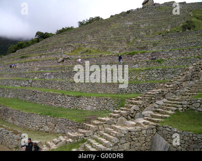 Terrasses à Machu Picchu en zone agricole Banque D'Images