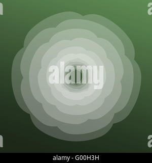 Blossom Banque D'Images