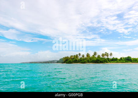 Vue panoramique sur aucune terre Mans beach à Tobago Antilles île tropicale Banque D'Images