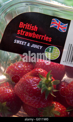 FRAISES EN PLASTIQUE SUPERMARCHÉ « sucrées et juteuses » fraises britanniques exposées dans un récipient en plastique transparent avec motif drapeau Union Jack Banque D'Images