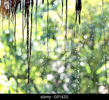 Gros plan des gouttes de pluie Banque D'Images