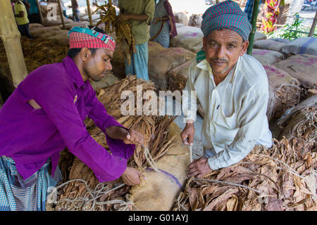 Un marché d'étanchéité du tabac est travailleur travaillant dans côté village de manikganj, au Bangladesh. Banque D'Images