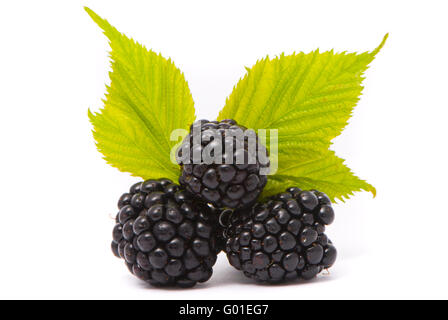 Belle mûres. Un plan macro. Studio isolé sur fond blanc Banque D'Images