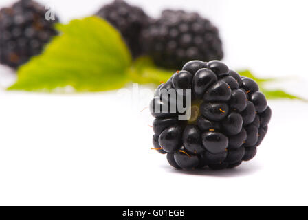 Belle mûres. Un plan macro. Studio isolé sur fond blanc Banque D'Images