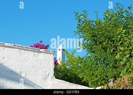 Minorque, Iles Baléares, Espagne : une maison blanche avec des fleurs de bougainvilliers dans les rues de Ciutadella Banque D'Images