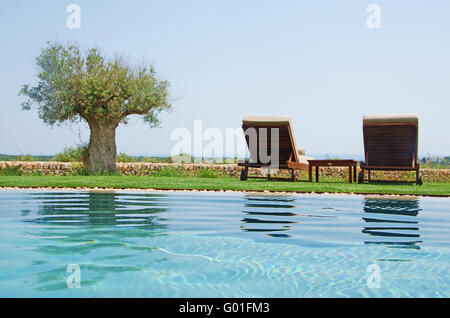 Menorca, Minorque : pelouse, olivier, transats et une piscine dans la campagne minorquine Banque D'Images