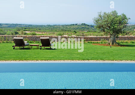Menorca, Minorque : pelouse, olivier, transats et une piscine dans la campagne minorquine Banque D'Images