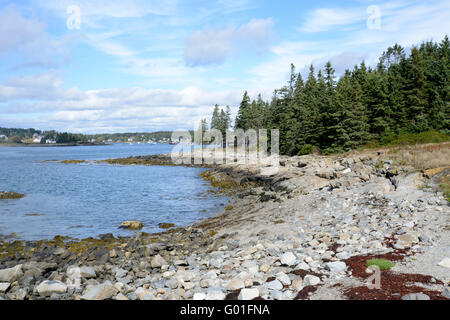 Côte rocheuse près de Port Clyde, Maine Banque D'Images