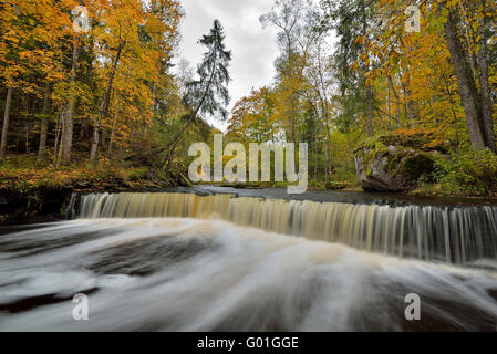 Cascade au milieu de la forêt Banque D'Images