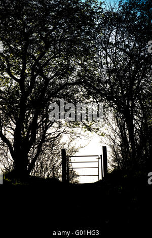 Sentier barrière métallique et haie silhouette dans la campagne de l'Oxfordshire. L'Angleterre Banque D'Images