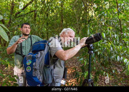 Parc national de Corcovado, COSTA RICA - Ecotoutist ressemble pour la faune avec longue vue comme guide s'intéresse à la pluie en forêt, l'Aos Pe Banque D'Images