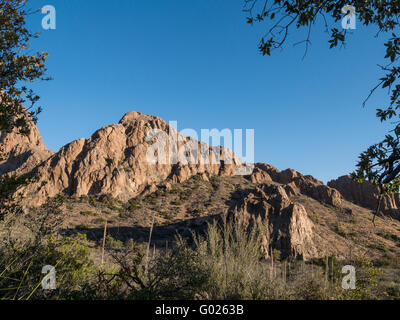 Lever du soleil sur les montagnes Chiso, Route du bassin, Big Bend National Park, Texas. Banque D'Images