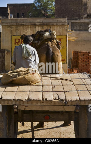 Camel avec remorque sur une rue, l'Inde du Nord, Inde, Asie Banque D'Images