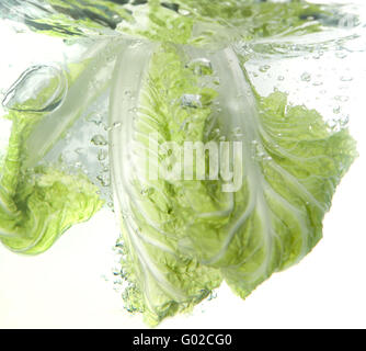 Le chou de Pékin dans de l'eau splash isolated on white Banque D'Images