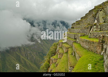 Terrasses agricoles sur la falaise, les ruines Inca de Machu Picchu, près de Aguas Calientes, alias Machu Picchu Pueblo, Cusco, Pérou Banque D'Images