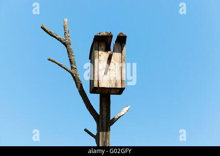 Cabane dans un arbre Banque D'Images