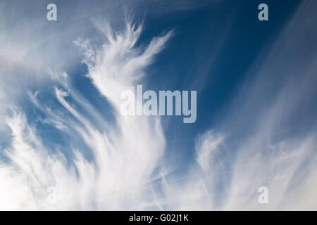 Contraste intense des nuages blancs en forme de flamme, sur un ciel bleu. Banque D'Images