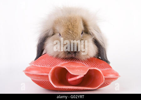 Partager sur une bouteille d'eau Banque D'Images