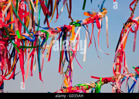 Tiens arbre branches attachées avec des rubans colorés