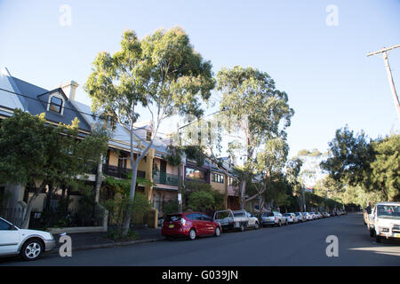 La rue Wilson, Darlington à Sydney. Banque D'Images