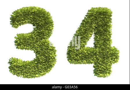 Couvert de feuilles lettres - partie d'un alphabet complet Banque D'Images