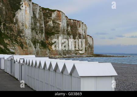 Falaises sur la plage, le Treport, Normandie, France Banque D'Images