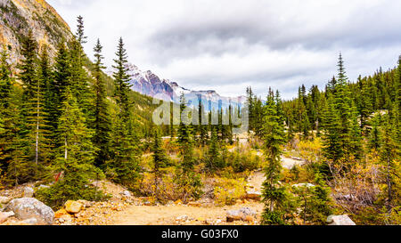 La vallée de la rivière Astoria vue à partir de la base du mont Edith Cavell, dans le parc national Jasper dans la belle et puissante des Rocheuses canadiennes Banque D'Images