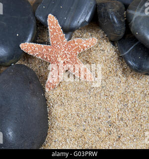 Zen spa river rocks et de coquillages sur le sable en forme de border Banque D'Images