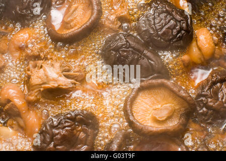 Champignons ragoût de poulet, de délicieux plats traditionnels chinois Banque D'Images
