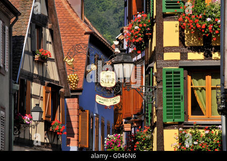 Maisons à colombages, vieille ville, Grand Rue, Ribeauvillé, Alsace, France Banque D'Images