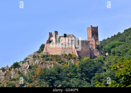 Château de Saint-Ulrich, Ribeauville, Alsace, France / Château de St Ulrich, Chateau de Grand-Ribeaupierre Banque D'Images