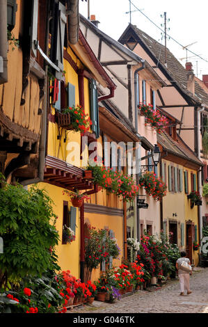 Maisons à colombages, vieille ville, Rue du Rempart, Eguisheim, Alsace, France / demi-maison en bois Banque D'Images