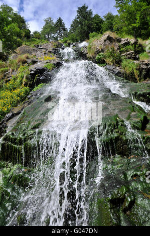 Todtnau Todtnau, cascade, Forêt-Noire, Bade-Wurtemberg, Allemagne Banque D'Images