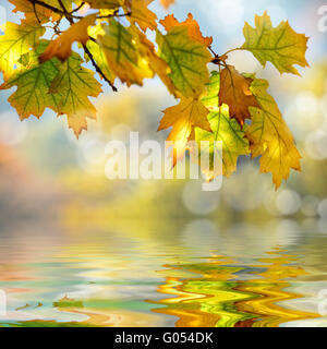 Un beau fond d'automne avec les feuilles qui tombent. Banque D'Images