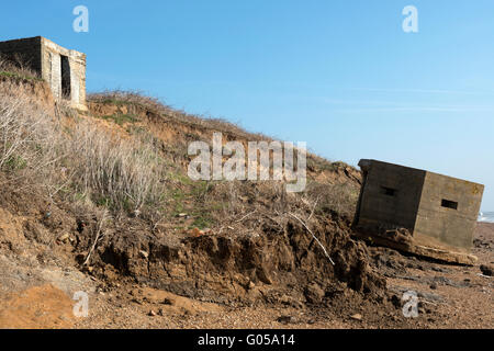 Effets de l'érosion côtière, Bawdsey, Suffolk, Angleterre. Banque D'Images