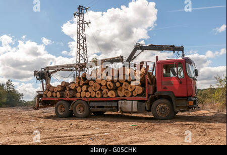 Chargement de bois abattu dans un camion avec grue Banque D'Images