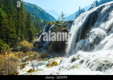 Pearl Shoal Cascade, Jiuzhaigou National Park, dans la province du Sichuan, Chine, Site du patrimoine mondial de l'UNESCO Banque D'Images