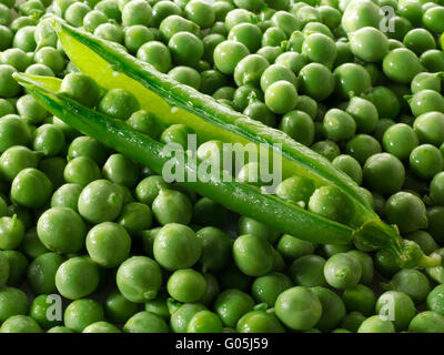 Plein cadre de nourriture encore la vie du jardin cru fraîchement cueilli pois et gousses de pois Banque D'Images