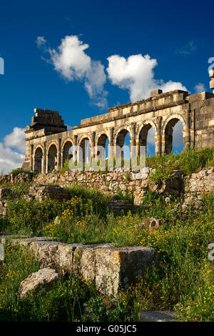 Extérieur de la 3ème siècle ruines basilique romaine à Volubilis Site Archéologique, Maroc Banque D'Images