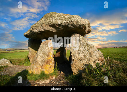 Carreg ou Samson Samson's Stone, 5000 ans d'un dolmen néolithique chambre funéraire, près de Abercastle, Pembroke, au Pays de Galles Banque D'Images